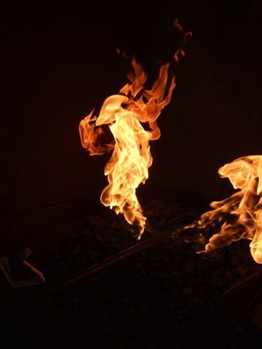 25 heste mistede livet i voldsom brand