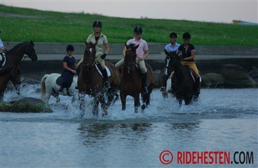 Heste evakueres efter stormflod