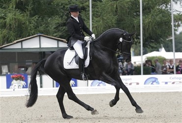 Dramatic verdensmester for 6-&aring;rs dressurheste