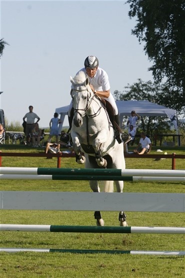 Ridehesten har v&aelig;ret i Norge
