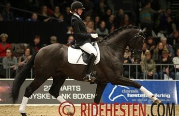 Attention: Vinderen blev Tailormade Attention