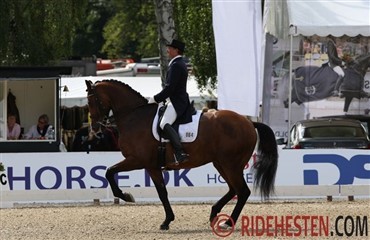 Live streaming fra Stadl Paura