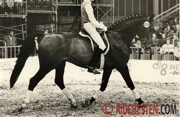 Husker du Unghestechampionatet 1985?