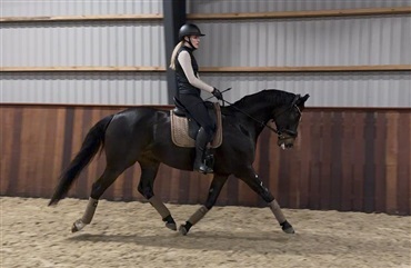 – Han er virkelig sjov at arbejde med