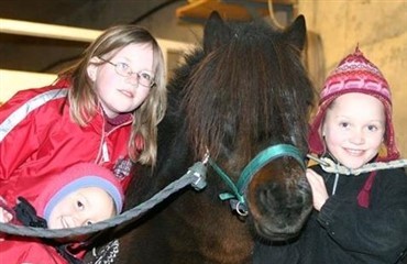 Duften af hest mindsker risikoen for astma