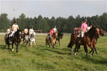 Piger til kamp for bevaring af ridecenter