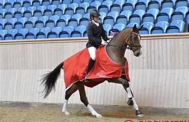 DV Egnethedstest reg. 5 - Vilhemsborg