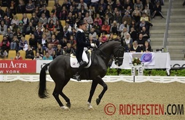 Ulysses La Haya solgt for 350.000 euro 