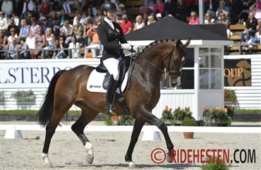 Fire danske 6-&aring;rs dressurheste til finalen
