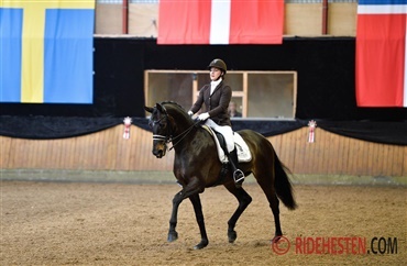 Landsst&aelig;vne for hest i Solr&oslash;d