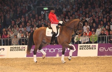 Dressur-dage i Zwolle