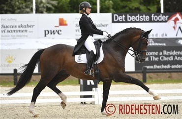 Zibrandtsen i international Grand Prix-sejr