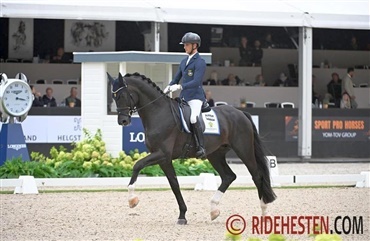 Stjernehingst er blevet kastreret