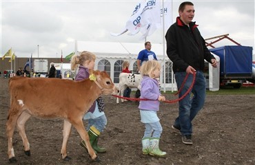 Bygevejr &oslash;delagde ikke dyrskuesucces