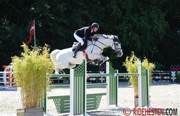 Tag forskud p&aring; hingstek&aring;ring