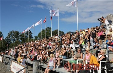 Billeder fra DM online