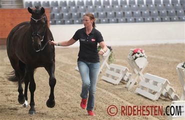 Alle danskere igennem vet tjek