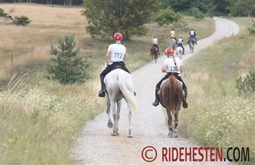 1st World Endurance Summit 2015