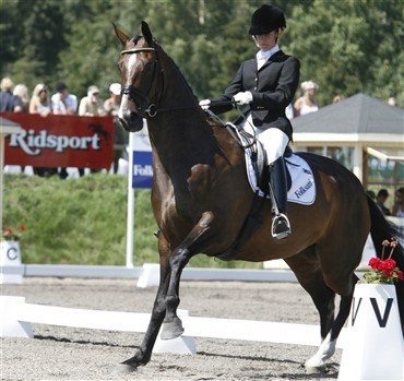 Nerv&oslash;se ryttere p&aring;virker hesten