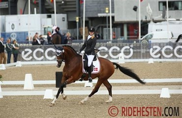 Danske paradressurryttere i top 3