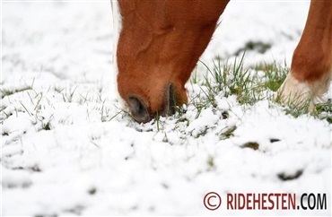 Kolik er hyppigere om vinteren