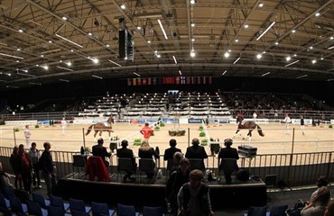 Hingstek&aring;ring - ogs&aring; for hundefolk
