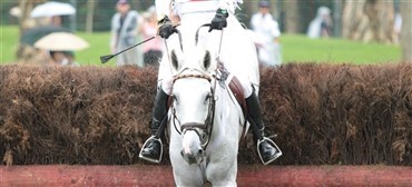 Sp&aelig;nding ved Badminton Horse Trials 