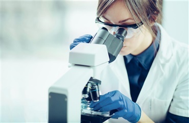 Forskningsprojekt om abort hos hopper