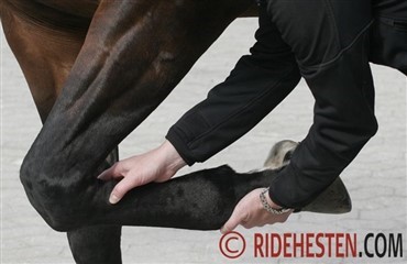 Behandling af ledsmerter