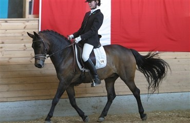Ponyerne gav 10.100 kr ved Danmarksindsamlingen