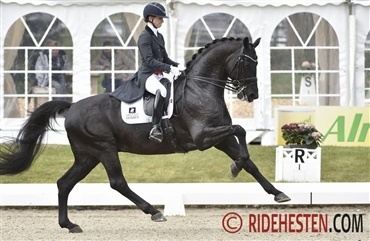 Fry og Glamourdale i en klasse for sig