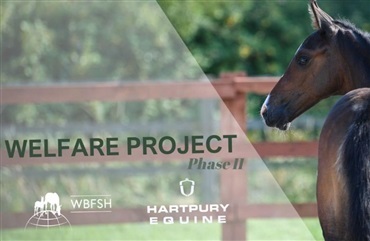 WBFSH's velf&aelig;rdsprojekt g&aring;r ind i fase II