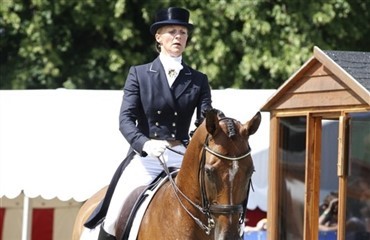 Fodring af sportsheste