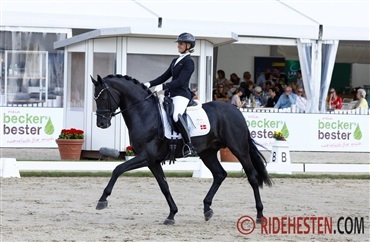 Tilmelding til UVM-udtagelse i dressur