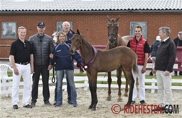 F&oslash;lchampionat p&aring; Katrinelund