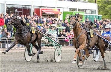 Travsport i verdensklasse i weekenden
