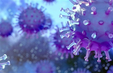 Duemoseg&aring;rd er nu ude af herpesvirus-karant&aelig;ne