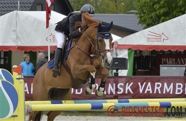 Danskere til internationale st&aelig;vner