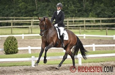 Championater i T&oslash;rring