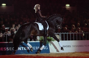 Sandro King tilbage i international avl