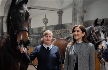 To nye heste er flyttet ind i de kongelige stalde