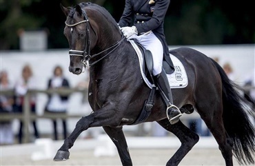 Zonik til World Cup-kvalifikation London