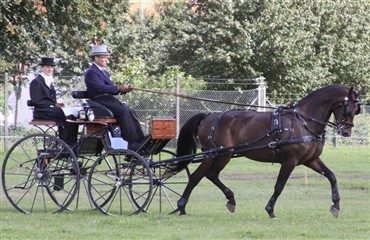 Dansk Mester i ensp&aelig;nderk&oslash;rsel