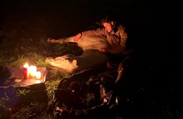 Matt Harnackes Emporio aflivet