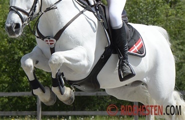 Ponylandshold til Nations Cup i Frankrig