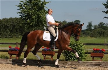 Resultater fra Wellington Classic Dressage Challenge I