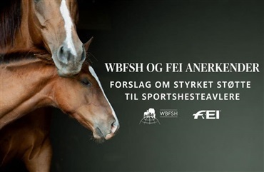 FEI &aring;bner for avlerpr&aelig;mier ved 5-stjernede st&aelig;vner