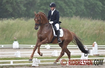USR-dominans i dressurchampionatet Billund