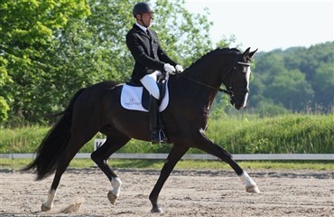 Resultat af &aring;rets anden UVM-iagttagelse