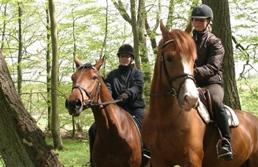 Gen&aring;bning for ridning i New Yorks Central Park